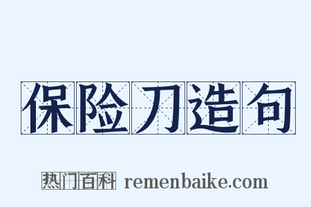 保险刀造句是什么意思的图片